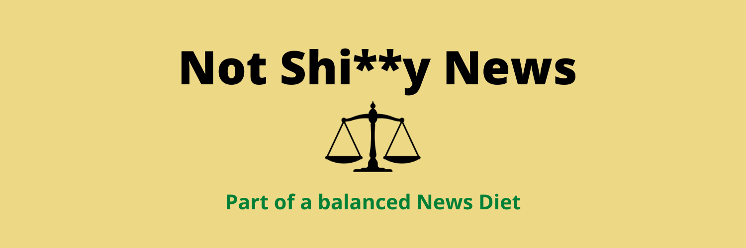 Not Shiy News Twitter Banner